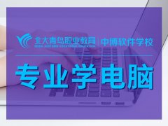 北大青鸟职业技术是干什么的(北大青鸟是啥有什么用)