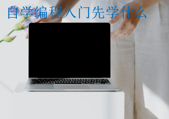 自学编程入门先学什么