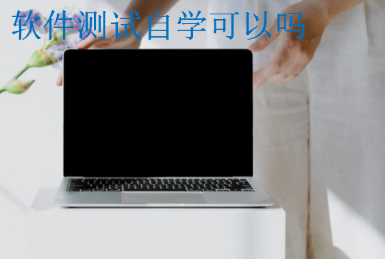 软件测试自学可以吗