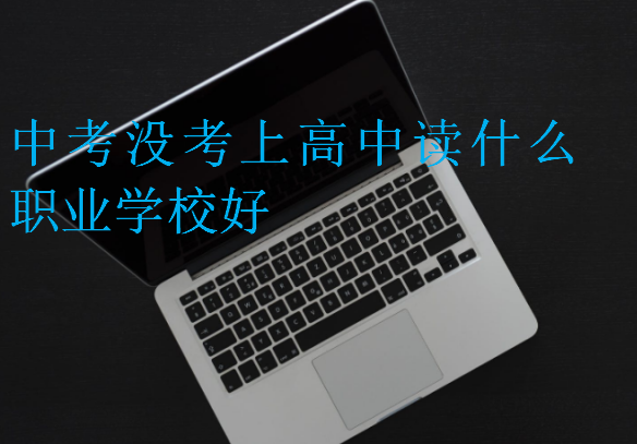 中考没考上高中读什么职业学校好