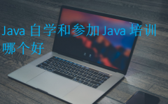 Java自学和参加Java培训哪个好?