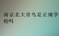 南京北大青鸟是正规学校吗?