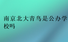 南京北大青鸟是公办学校吗?