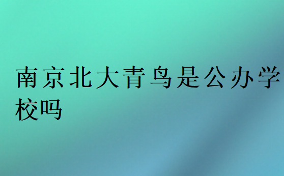 南京北大青鸟是公办学校吗