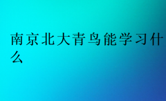 南京北大青鸟能学习什么?