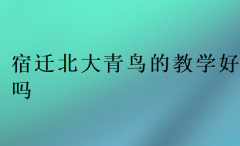 宿迁北大青鸟的教学好吗?