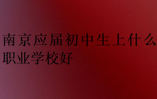 南京应届初中生上什么职业学校好