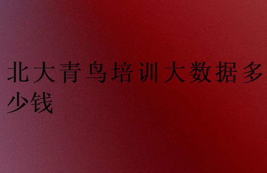 北大青鸟培训大数据多少钱