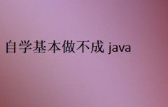 自学基本做不成java(自学Java有哪些困难)