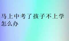 马上中考了孩子不上学怎么办?