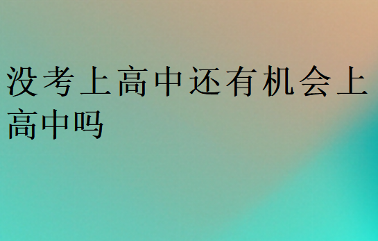 没考上高中还有机会上高中吗