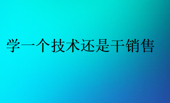 学一个技术还是干销售