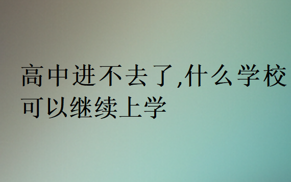 高中进不去了,什么学校可以继续上学
