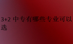 3+2中专有哪些专业可以选
